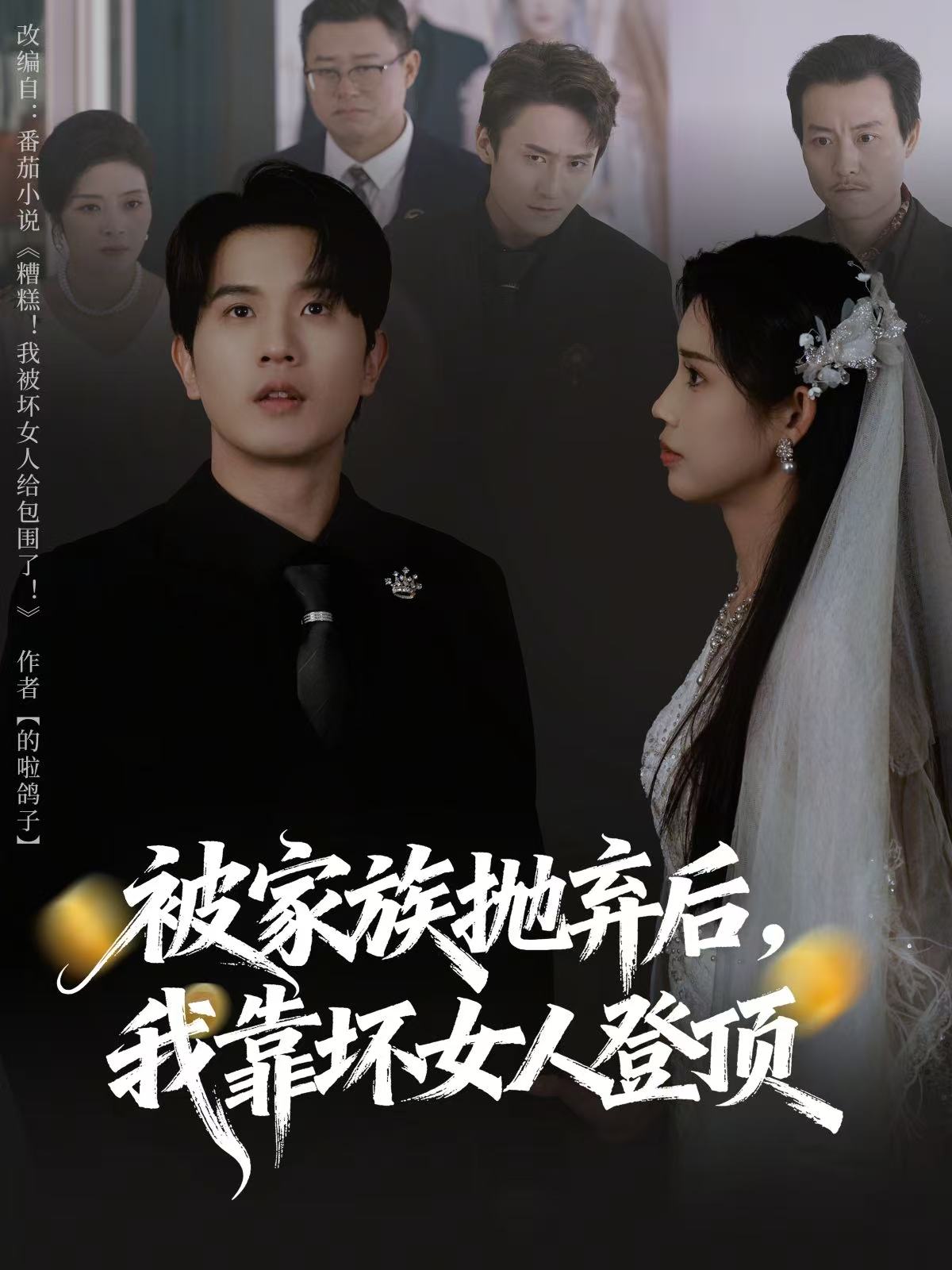 被家族抛弃后，我靠坏女人登顶 第60集