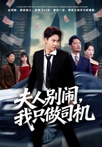 夫人别闹我只做司机 第01集