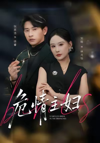 危情主妇 第12集