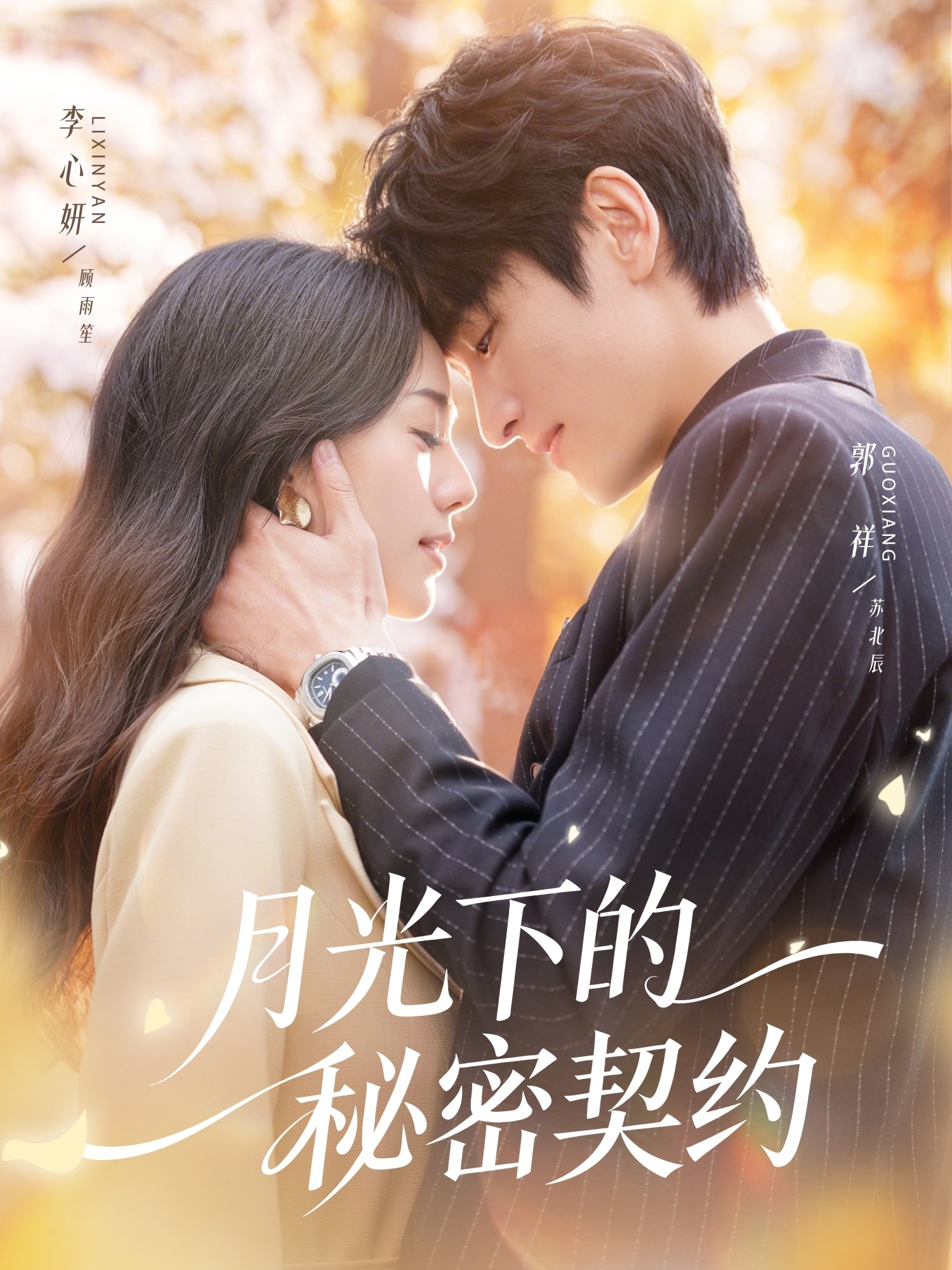月光下的秘密契约 第14集
