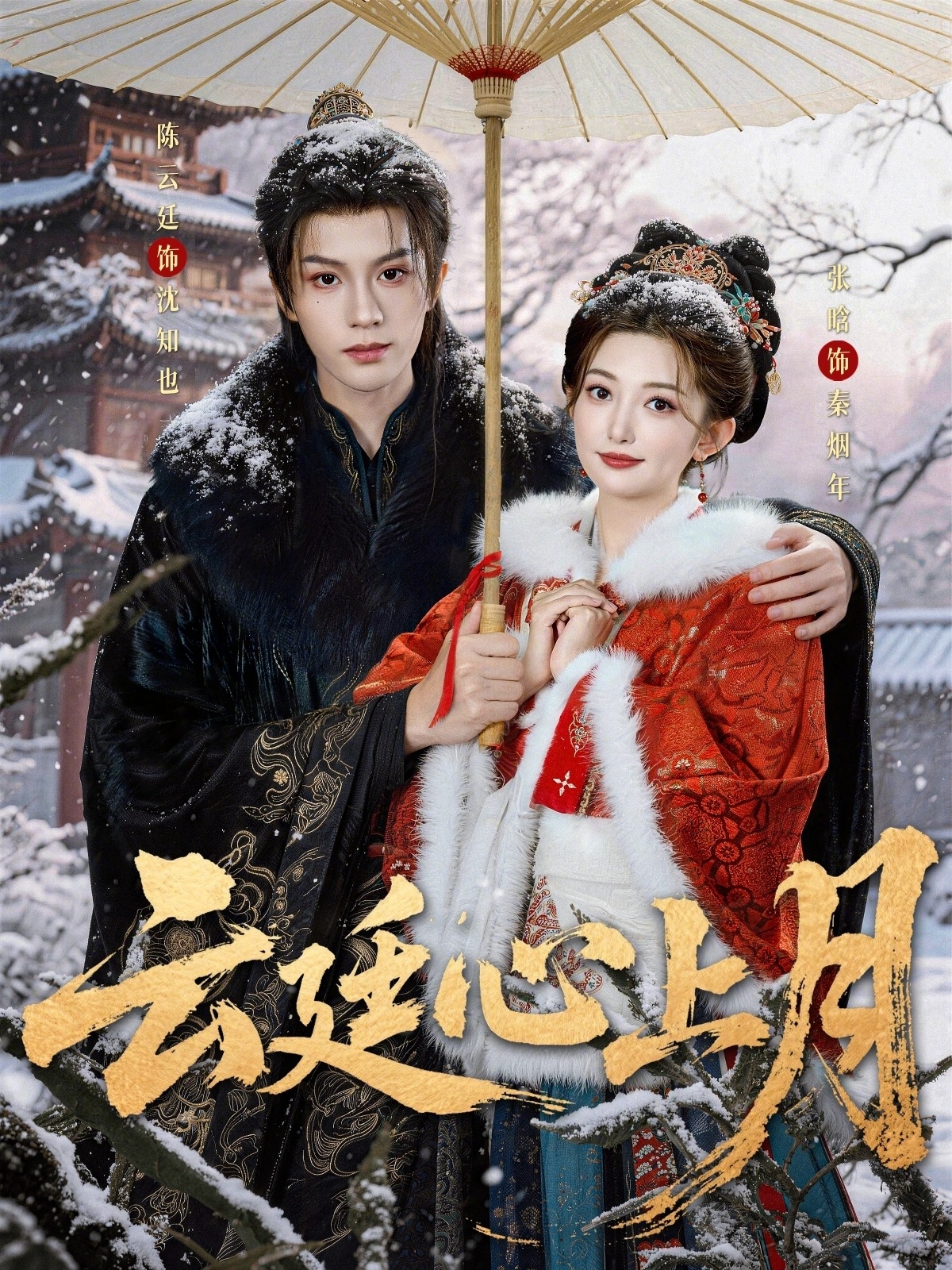 云廷心上月 第39集