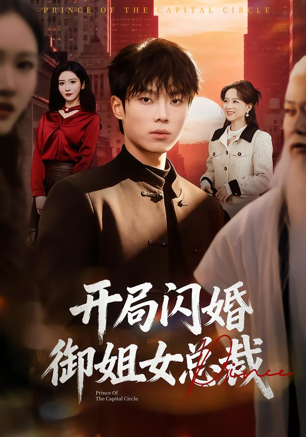 开局闪婚御姐女总裁 第51集