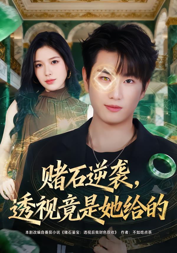 赌石逆袭，透视竟是她给的 第39集