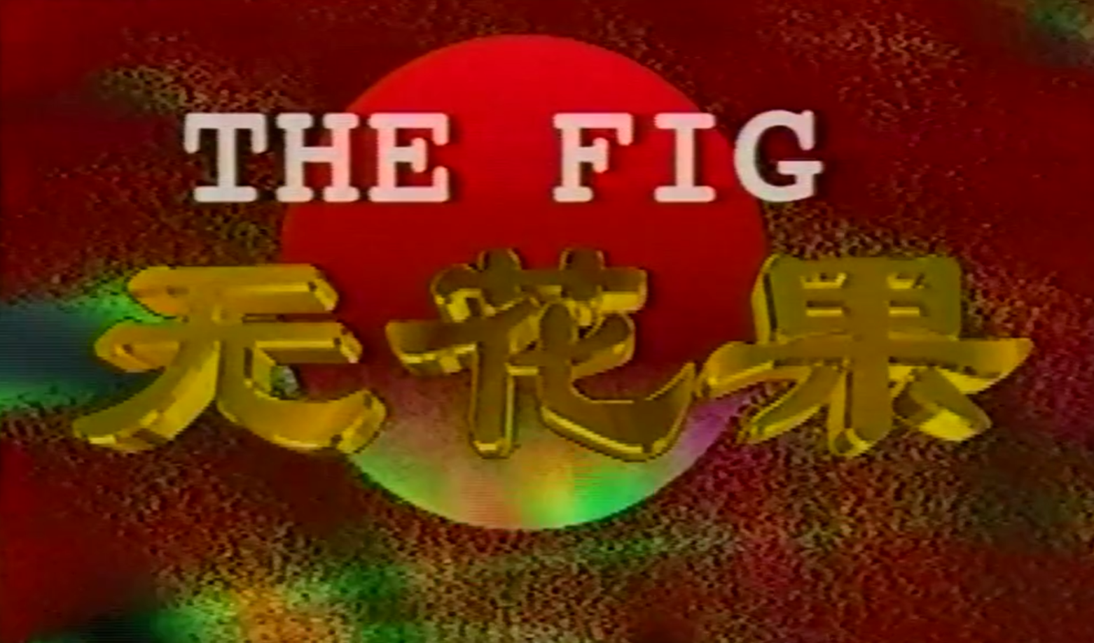 无花果1996 第12集