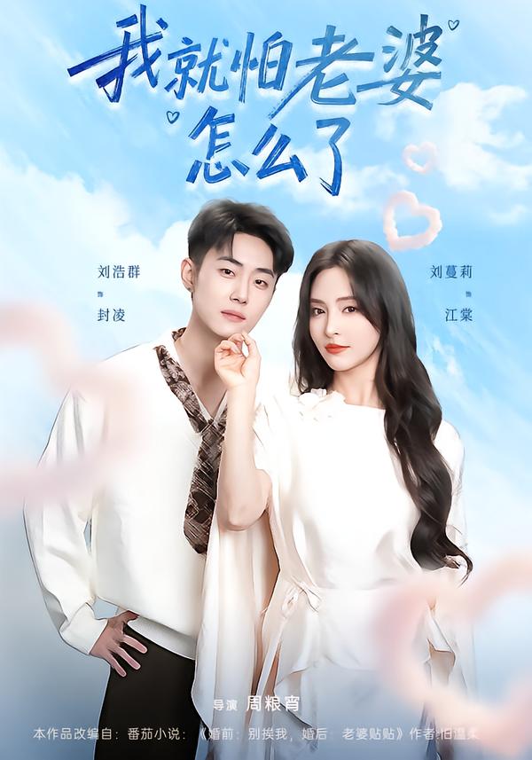 我就怕老婆怎么了 第01集