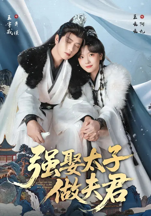 强娶太子做夫君 第63集