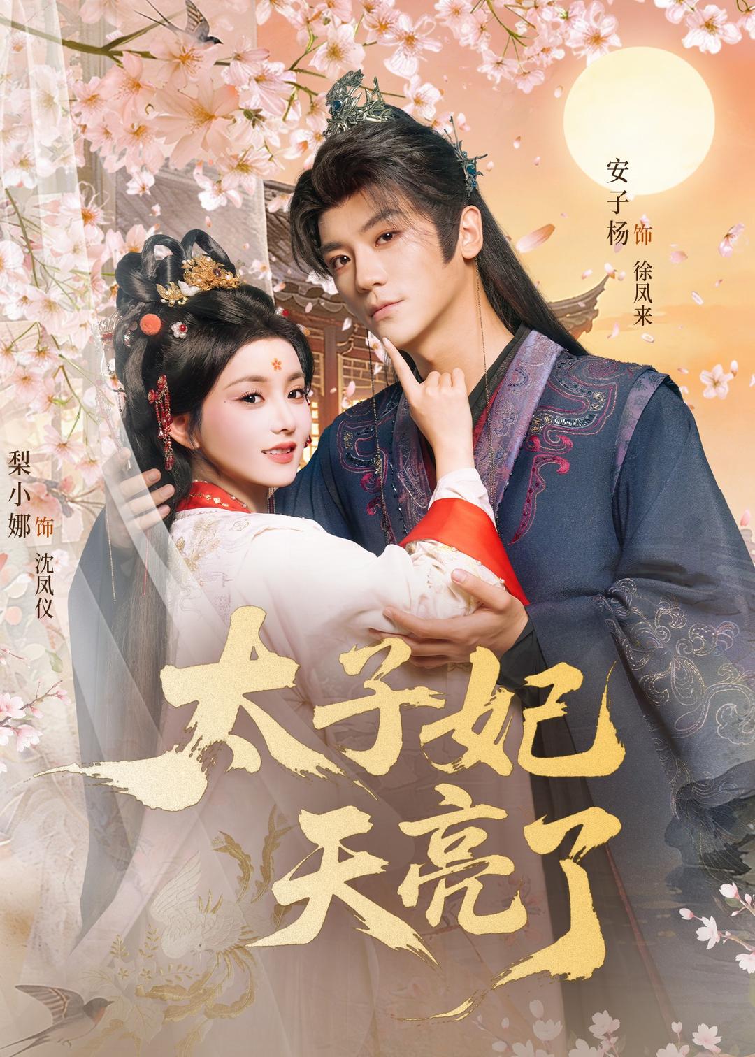 太子妃天亮了 第50集
