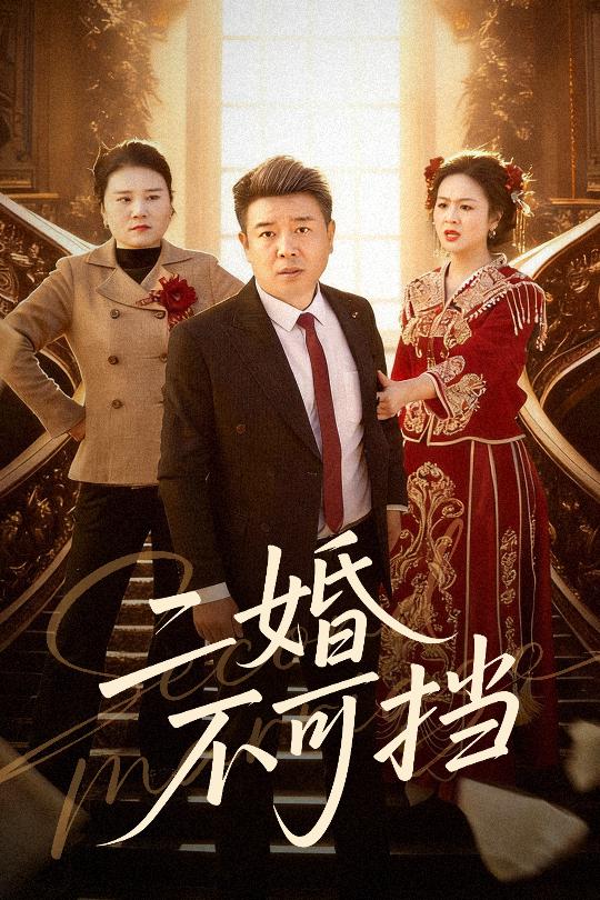 二婚不可挡 第25集