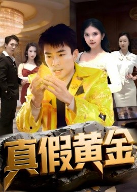 真假黄金 第14集