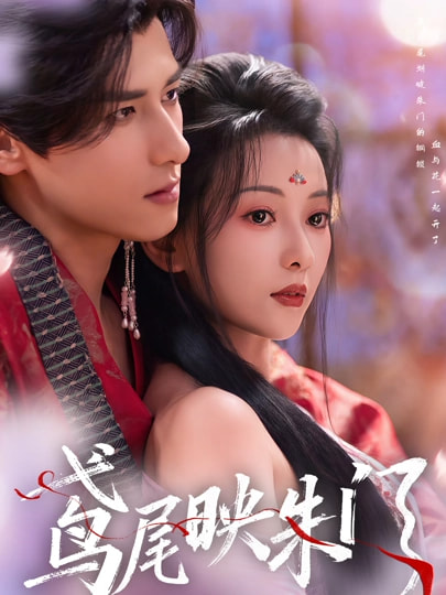 鸢尾映朱门 第13集