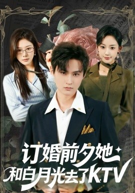 订婚前夕她和白月光去了KTV 第39集