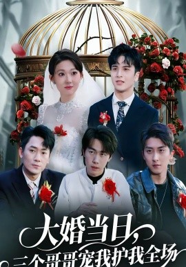 大婚当日，三个哥哥宠我护我全场 第28集