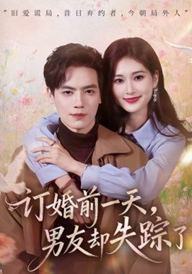 订婚前一天，男友却失踪了 第33集