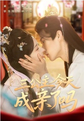 三公主今天成亲了吗 第01集