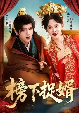 榜下捉婿 第63集