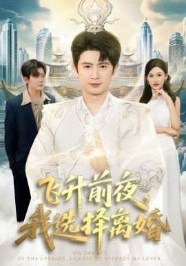 飞升前夜，我选择离婚 第20集