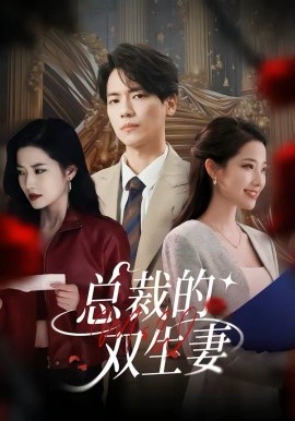 总裁的双生妻 第21集