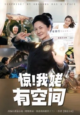 惊！我姥有空间 第12集