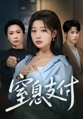 窒息支付 第08集