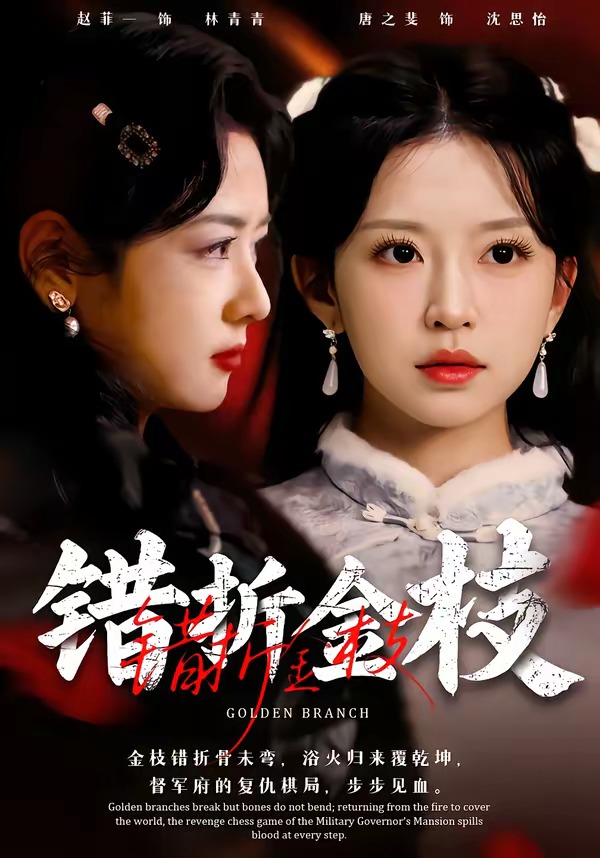 错折金枝 第39集