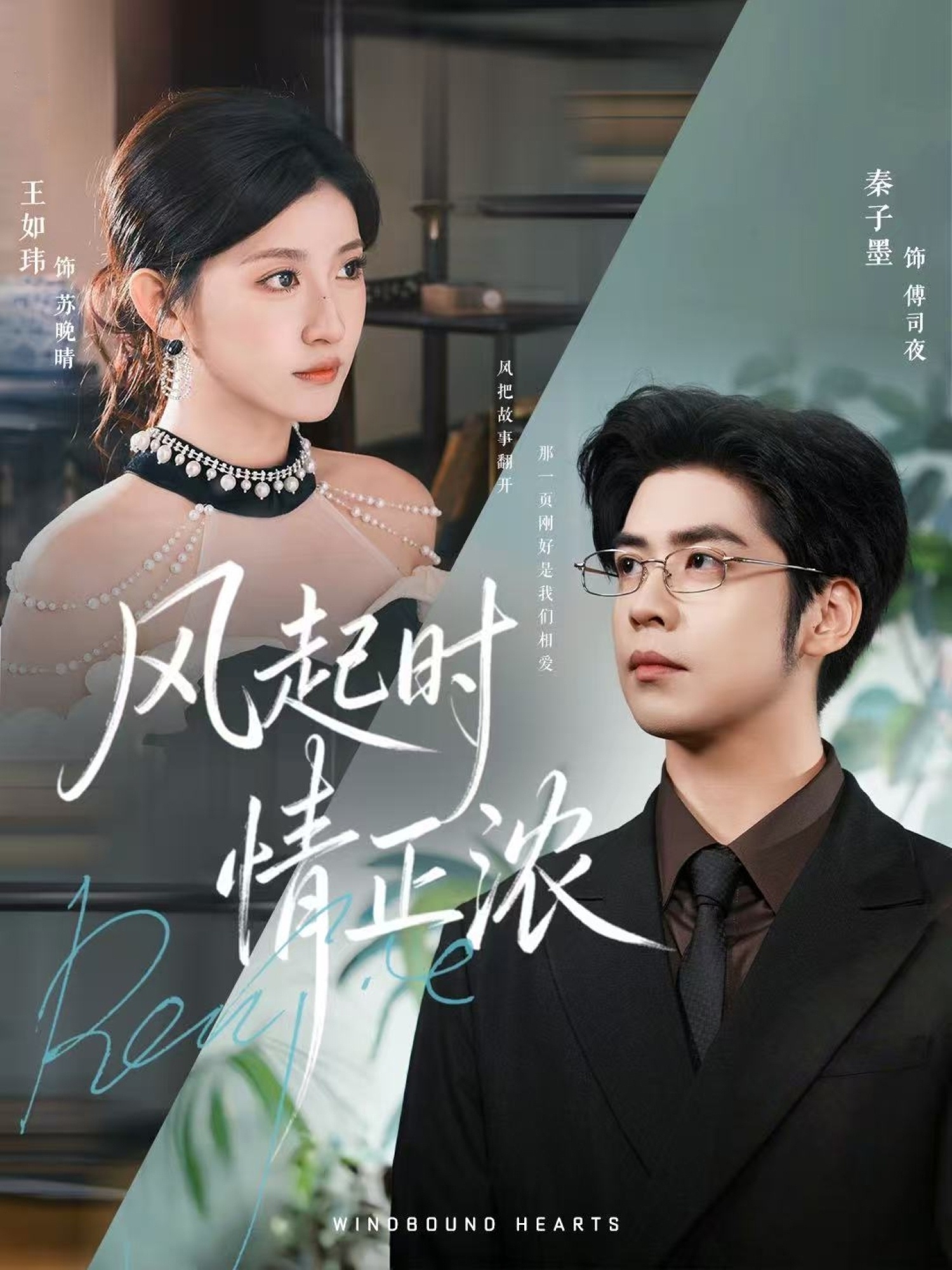 风起时情正浓(全集)